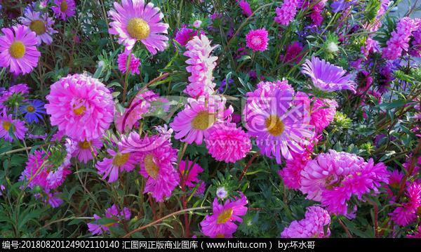 良质美手