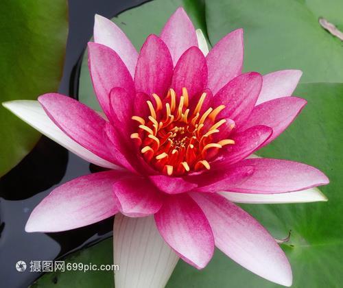 丑话说在前头
