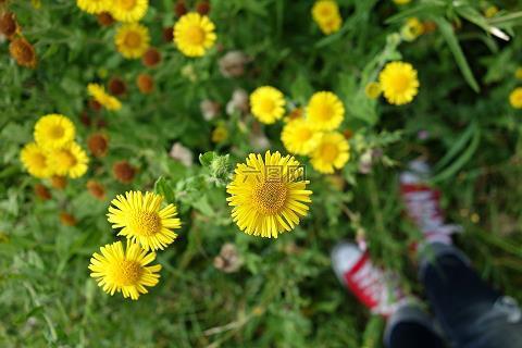 金碧荧煌