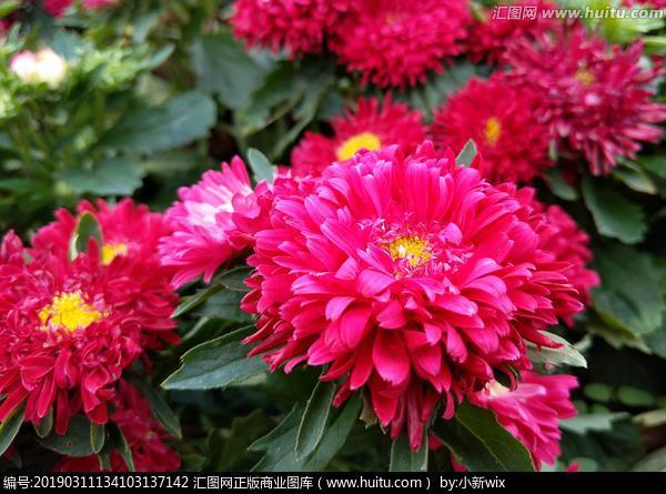 败材伤锦