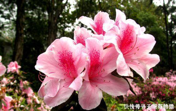 天机不可泄漏