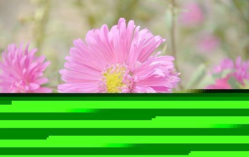 江山如故