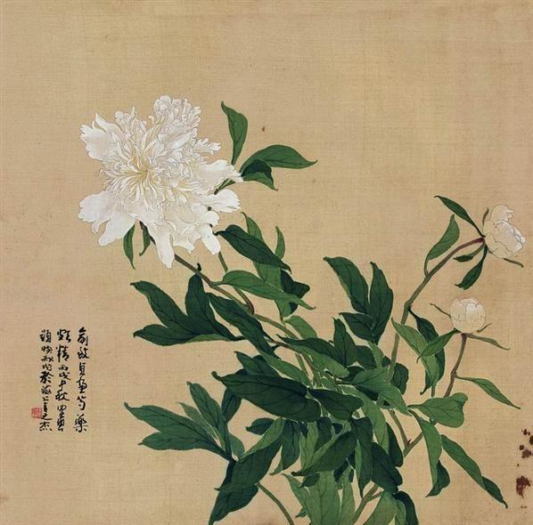 不识局面