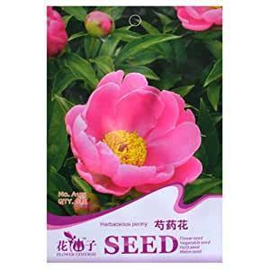 今愁古恨