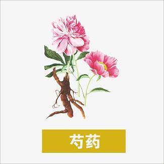 镌脾琢肾
