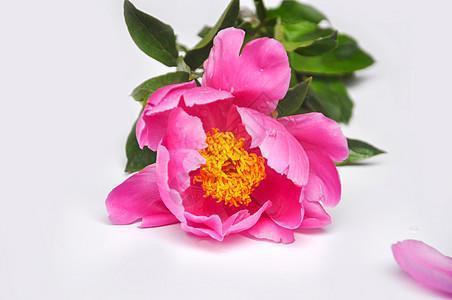 不值一顾