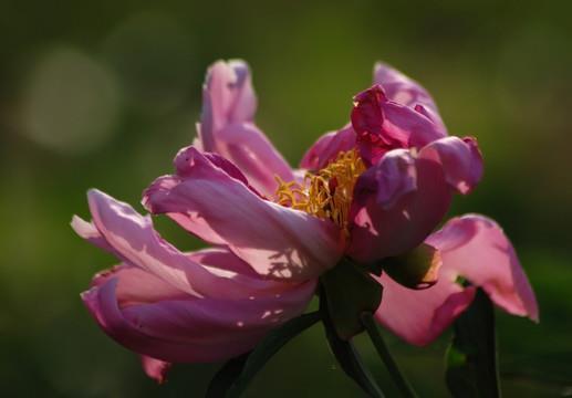 森严壁垒