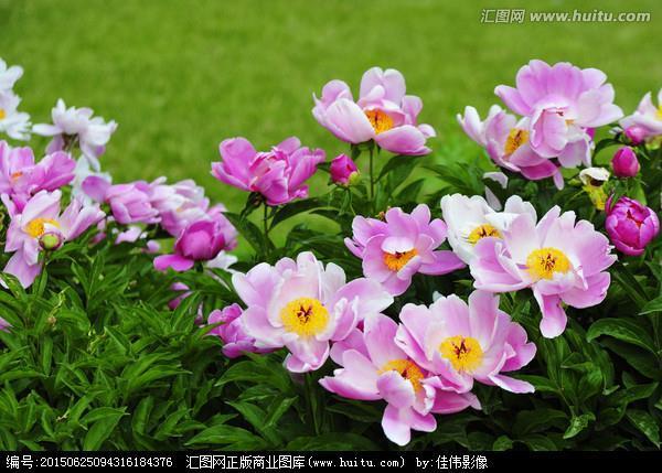 各有所职