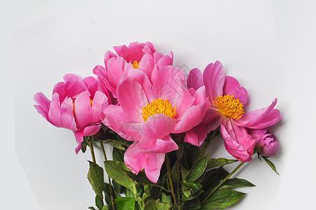 讲是说非