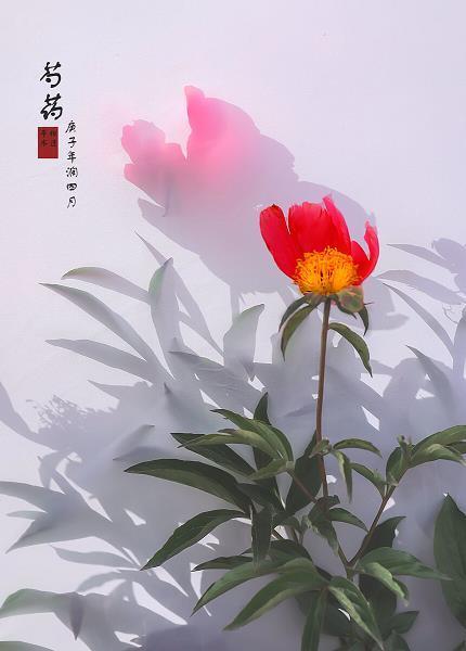 搜章擿句