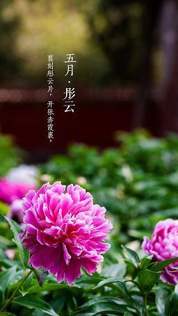 鱼烂土崩
