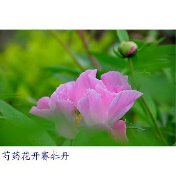 气噎喉堵