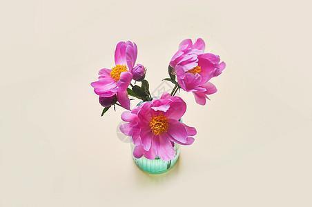 负险不宾