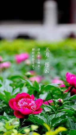 匪朝伊夕