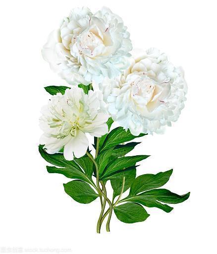 心病难医