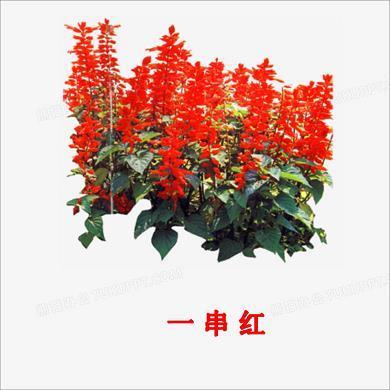 启羞兴戎