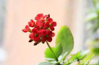 高枕无虞