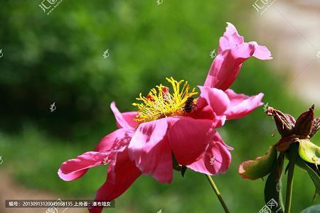 洞悉底蕴