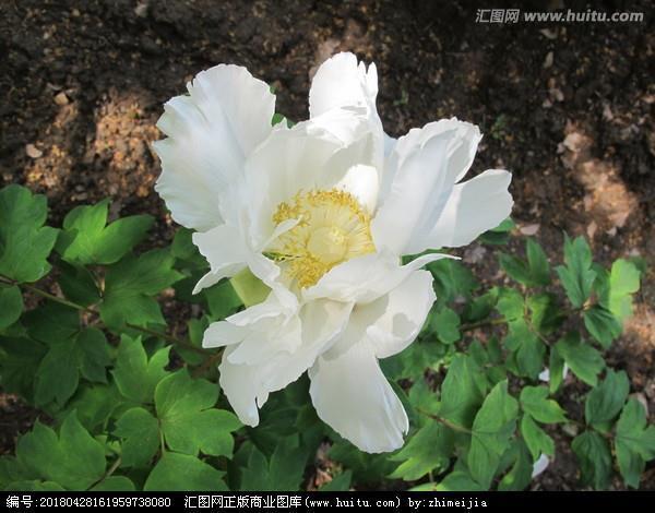 细入毫芒