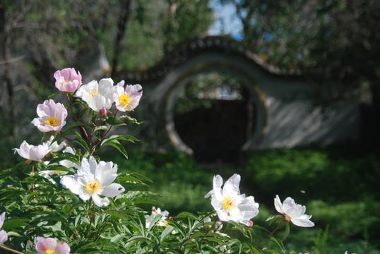 进思尽忠，退思补过