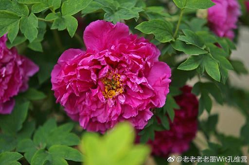 输财助边