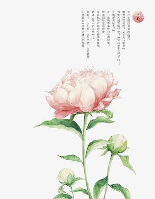 湖光山色