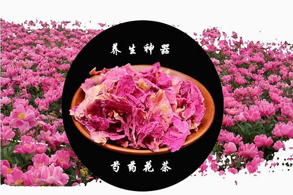 雍荣雅步