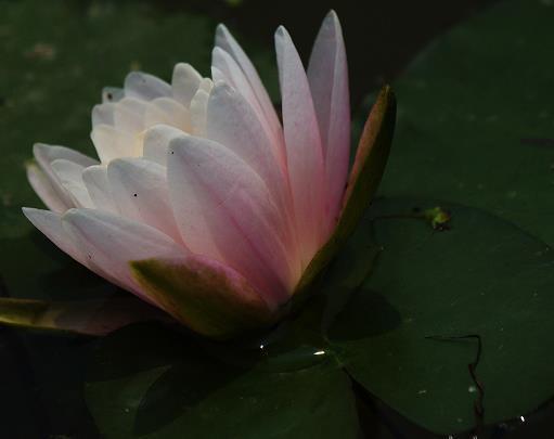 变化无穷