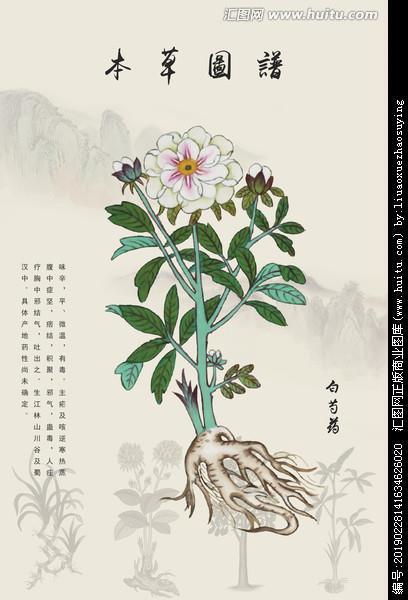 曙后星孤