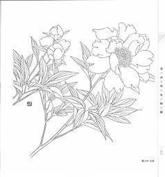 无耻谰言