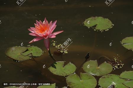 移缓就急