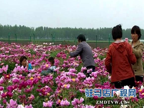 廉明公正