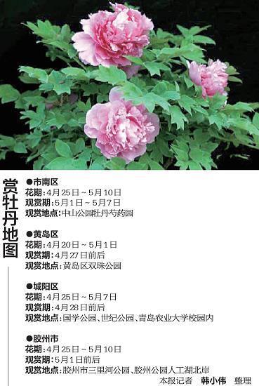 东躲西跑
