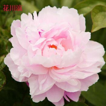 多灾多难