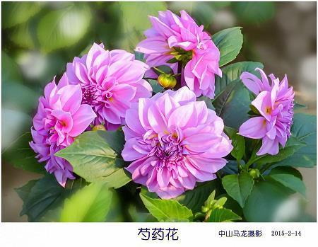以夜继日