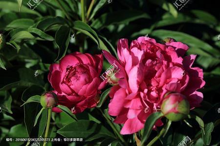 重操旧业