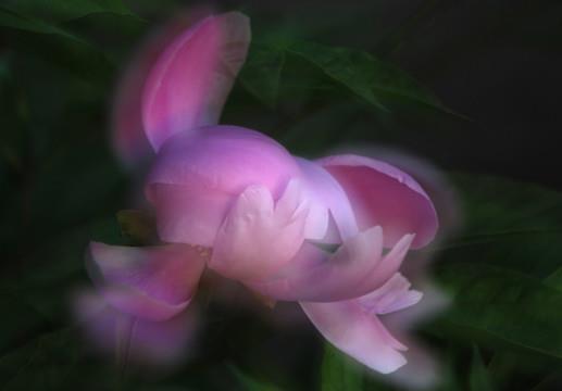 迷迷糊糊