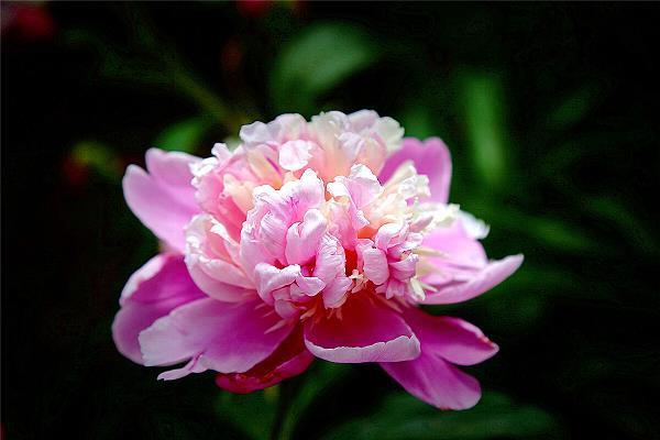 画荻教子
