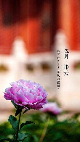 分风劈流