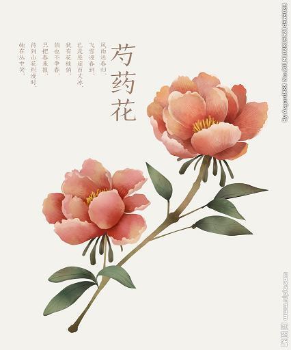 经纬天地