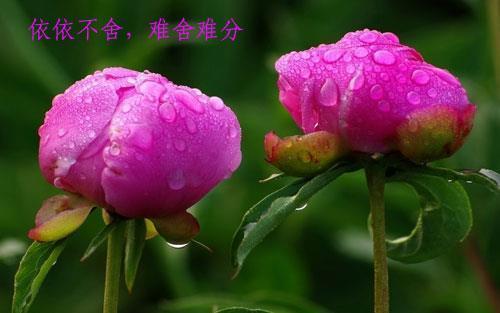 施谋用计