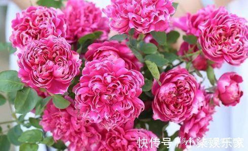 肤寸而合