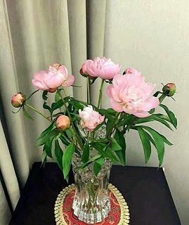 立竿见影