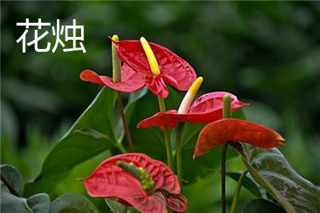 咸与惟新