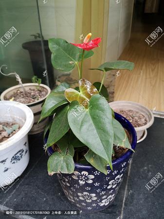 在人耳目