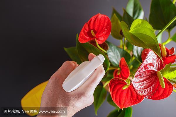 势合形离