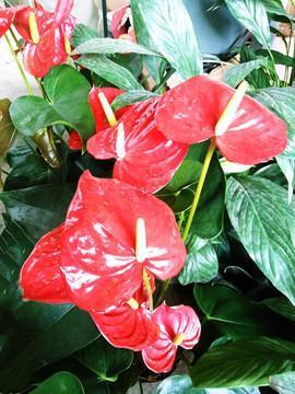 砥砺名节
