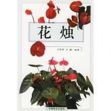 明媒正礼