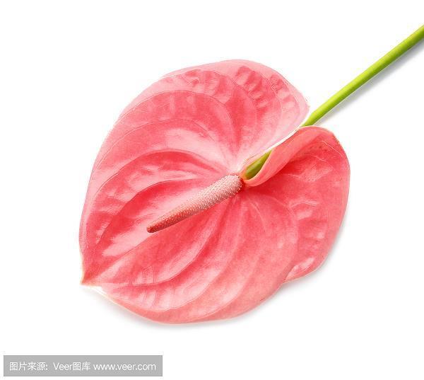 上有天堂，下有苏杭