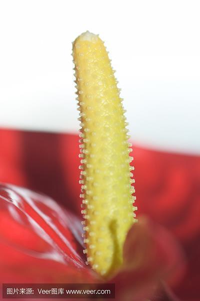 得意忘形